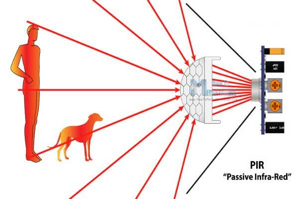 اهمیت سنسور حرکتی (PIR) در سیستم‌های امنیتی